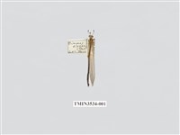 藏品(蟻蛉10)的圖片